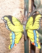 Schmetterling geschmiedet